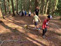 piskvorky ve velkem.jpg